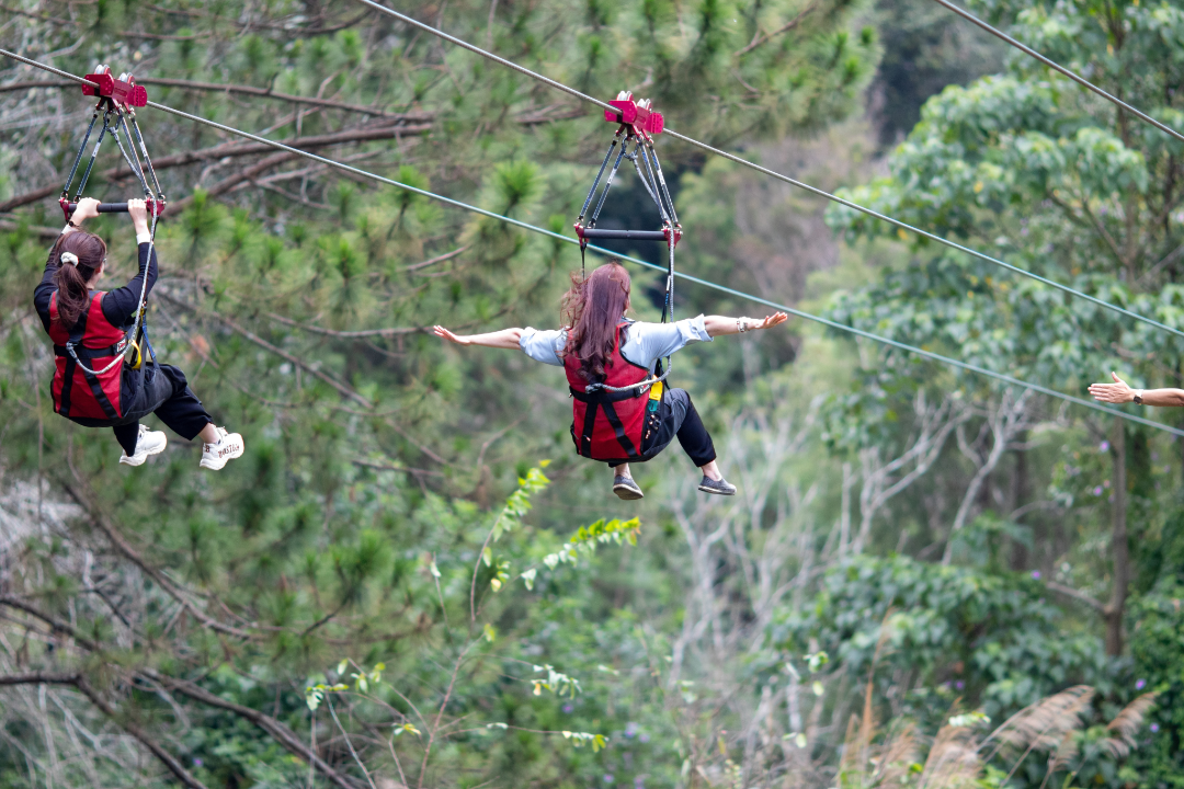 ZIPLINE CHƯ YANG SIN